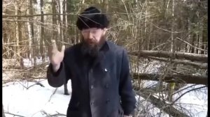 О рубке сухостойных деревьев, присвоении ветровальных и буреломных деревьев.