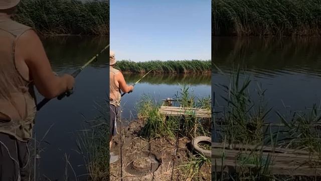 Рыбалка на реке Миус часть1!!! смотреть онлайн