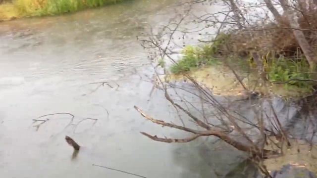 Шерна, Вася-жбан на рыбалке ! 2014,10,5 смотреть онлайн