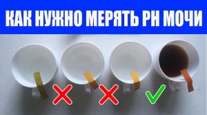 Как измерить pH мочи тестовыми полосками в домашних условиях