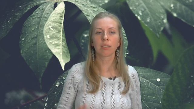 Проводник. Кто это? Чем отличается жизнь проводника от непроводника и как им стать? смотреть онлайн