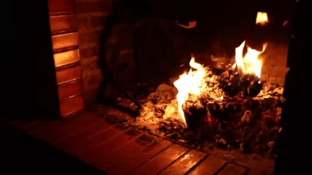 Трогательная история любви и преданности