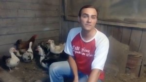 Хищники в курятнике - хорек, крыса, мыши, ласка