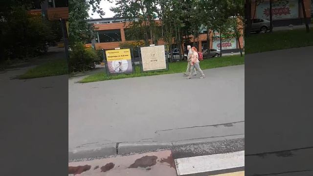 Улица Полярная, москва. Кинотеатр Полярный