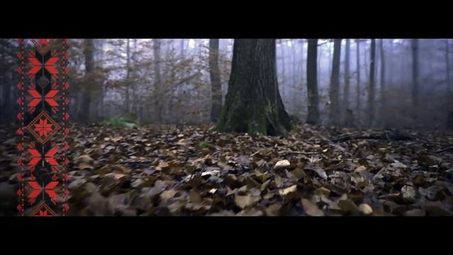 История становления современной системы Спас.