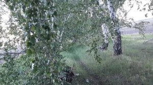 Практическая магия. Заговоры от злой свекрови.