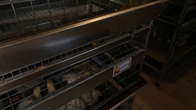 Брама Юрловские 2 месяца. смотреть онлайн