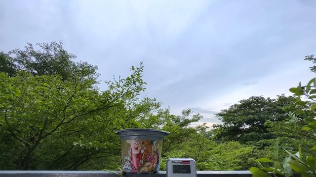 Quick Self Cooking Asian Meals смотреть онлайн