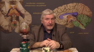 С. Савельев. Бессмертие невозможно