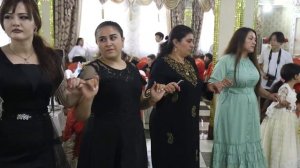 КУРДСКИЕ СВАДЬБЫ В АЛМАТЫ  Камран и Дильназ ЧАСТЬ 1  KURDISH wedding DAWATA KURDA