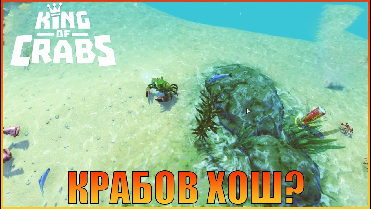 Дружеский матч |  [  King of Crabs ]