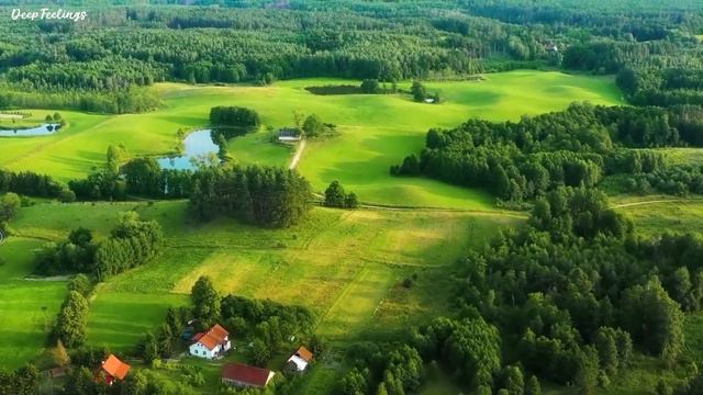 RILTIM, DNDM, DAVIT BARQAIA, IMAZEE, ZUBI, HUSSEIN ARBABI, MZADE, GHAMARNI, MYRIAM FARES #176 смотреть онлайн