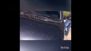 Жесть в Биробиджане