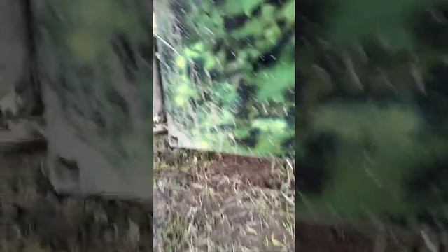 #вездеход   Обзор подвески самодельного гусеничного вездехода