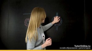 Биология | Железы внутренней, внешней и смешанной секреции