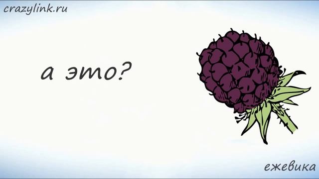Ягоды на английском Учим названия ягод на английском смотреть онлайн