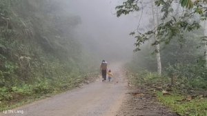 Harvest Sugarcane Garden & Shallot Vegetables - Goes to the market to sell | Ly Thi Lang
