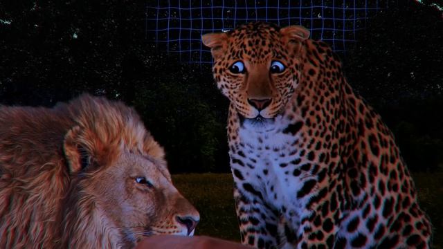 Почему Львы Всегда Убивают Гепардов? смотреть онлайн