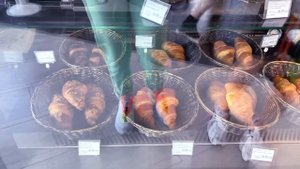 На ДЖОША НАПАЛА ЗМЕЯ ?? ПЕРЕЕЗД в Новый ГОРОД