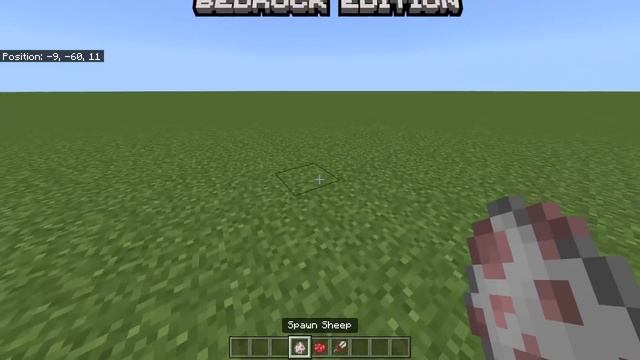 Java vs Bedrock
