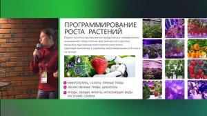 GreenBar — вертикальные фермы