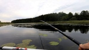 Лещ на маховую удочку с лодки.Рыбалка с сыном.