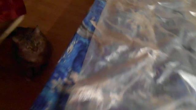 Не приставай к царю:) Кошка Ромашка. смотреть онлайн