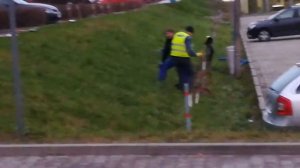 Крот (1серия)