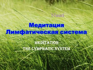 Медитация Лимфатическая система/Meditation The Lymphatic system
