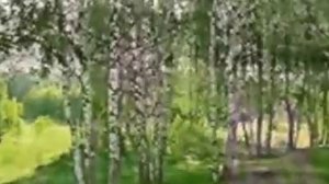 ГАЛИНА ШЕВЕЛЁВА Я МАХА.avi