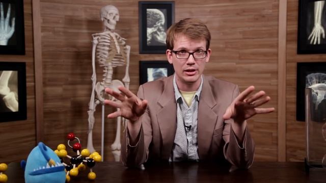 Central Nervous System: Crash Course Anatomy & Physiology #11