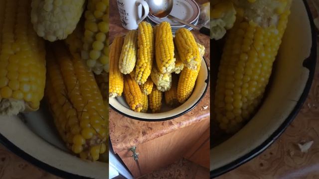 Кукуруза 🌽