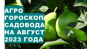 Агрогороскоп садовода на август 2023 года.  Агрогороскоп садівника на серпень 2023 року