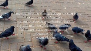 Заговор от Алены Полынь "На звонок мужчины"