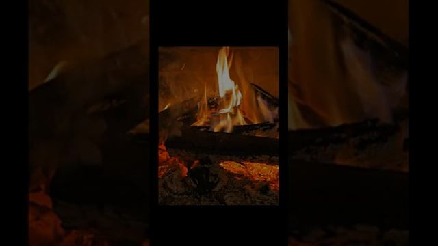 Звук костра в лесу у реки