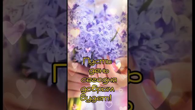 Любимый, с добрым утром!!! #доброеутро #сдобрымутром #любимка #любимому #длятебя #доброеутречко смотреть онлайн