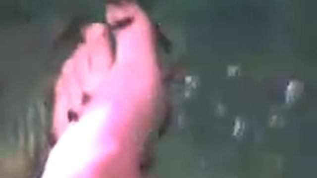 Garra rufa fishes / Рыбки Garra rufa смотреть онлайн