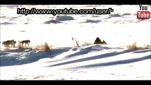 5 ЭТАП Берингии-2013. Село Верхне-Хайрюзово - село Усть-Хайрюзово.