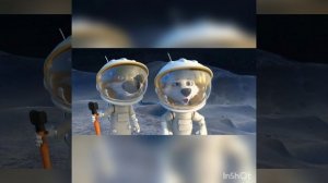 Досье на Белку. Белка и Стрелка