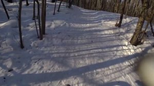 Фэтбайк Велосипед в Зимнем Лесу. Горный Велосипед.