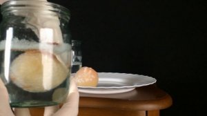 Что будет если поместить яйцо в уксус