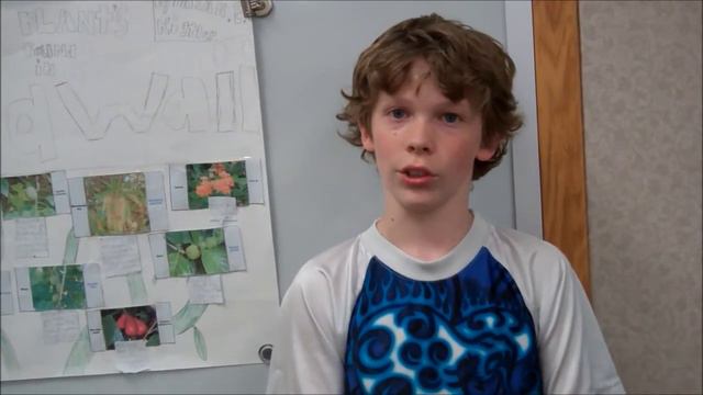 State Research {Nature} смотреть онлайн