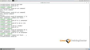 2.10 Последовательность команд в оболочке bash | Linux для начинающих