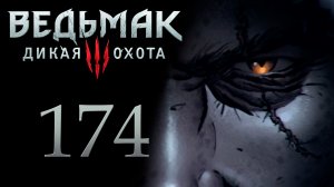 The Witcher 3 / Ведьмак 3 - Пропавший брат, бестия из Оксенфуртской чащи [#174] | PC (2017 г.)
