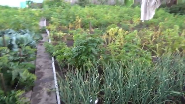 Козулька. Хорошо в деревне летом смотреть онлайн