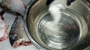 как убрать запах тины у рыбы