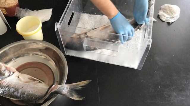 Толстолоб горячего копчения смотреть онлайн