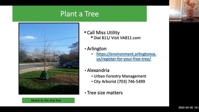 Turf Grass Alternatives смотреть онлайн