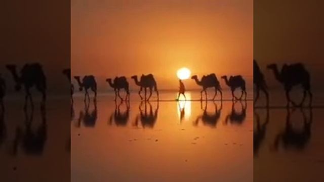 Песня-Караван Карахан смотреть онлайн