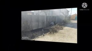 Как избавиться от кустарников сирени